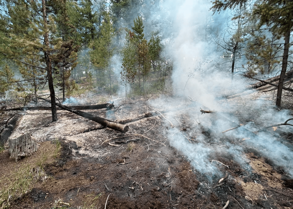 Small wildland fire starts near Parshall